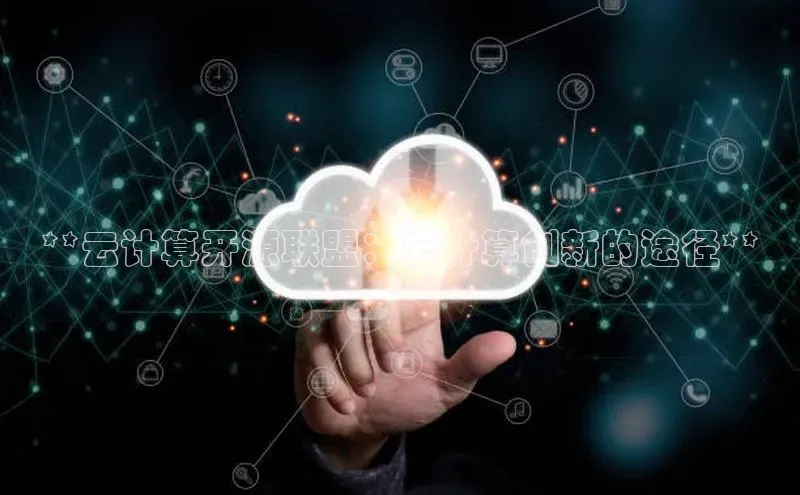 意昂4网易**云计算开源联盟：云计算创新的途径**