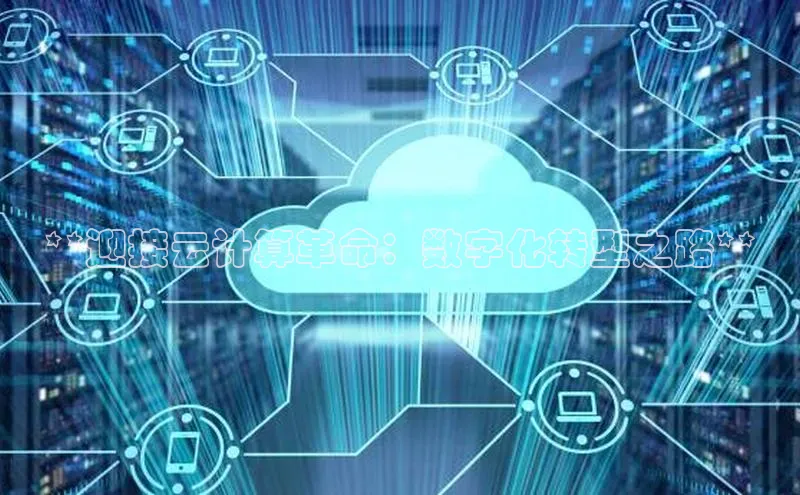 EON体育4百度人工翻译**迎接云计算革命：数字化转型之路**