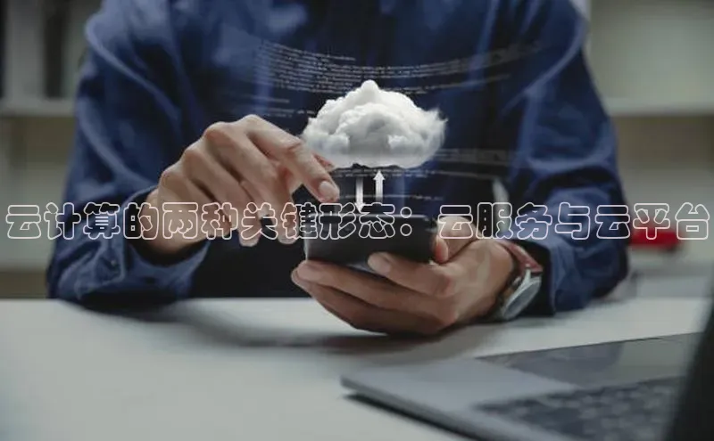 意昂体育4官网挪威主权基金云计算的两种关键形态：云服务与云平台