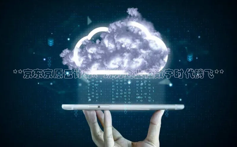 EON4招商百度网盘**京东京原云计算：助力企业在数字时代腾飞**