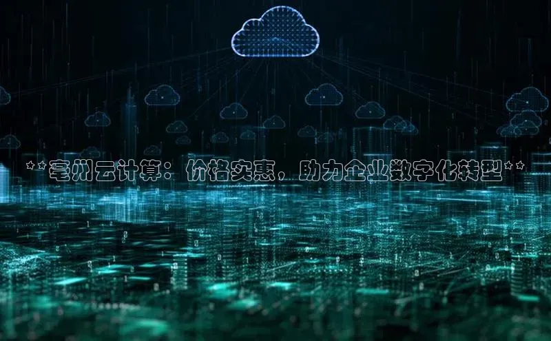 意昂4官网百度翻译**亳州云计算：价格实惠，助力企业数字化转型**