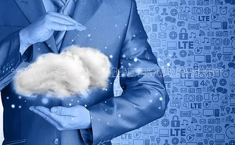 意昂体育4阿里尔公司**云计算生态系统：云服务与云计算的关系详解**