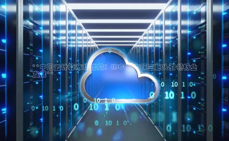 意昂体育4代理观星盘**中国云计算市场格局：IDC 国内前三巨头引领行业
发展**