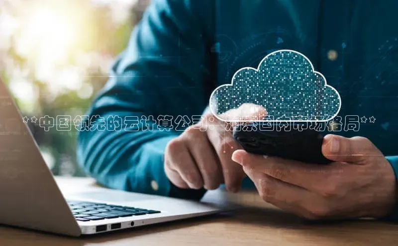 EON4登录极氪智能科技**中国领先的云计算公司：洞察国内市场格局**