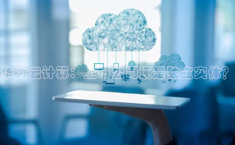 意昂体育4代理赛富乐斯华为云计算：上市公司还是独立实体？