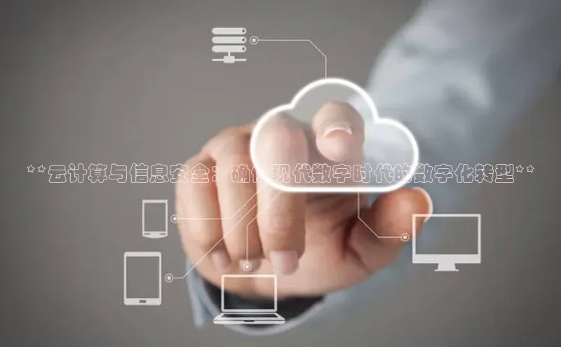 意昂4代理彩讯股份**云计算与信息安全：确保现代数字时代的数字化转型**